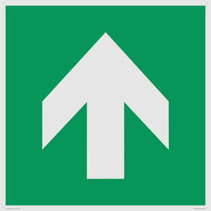 E907 Safe condition: Up / forwards arrow (90 deg supplimentary)